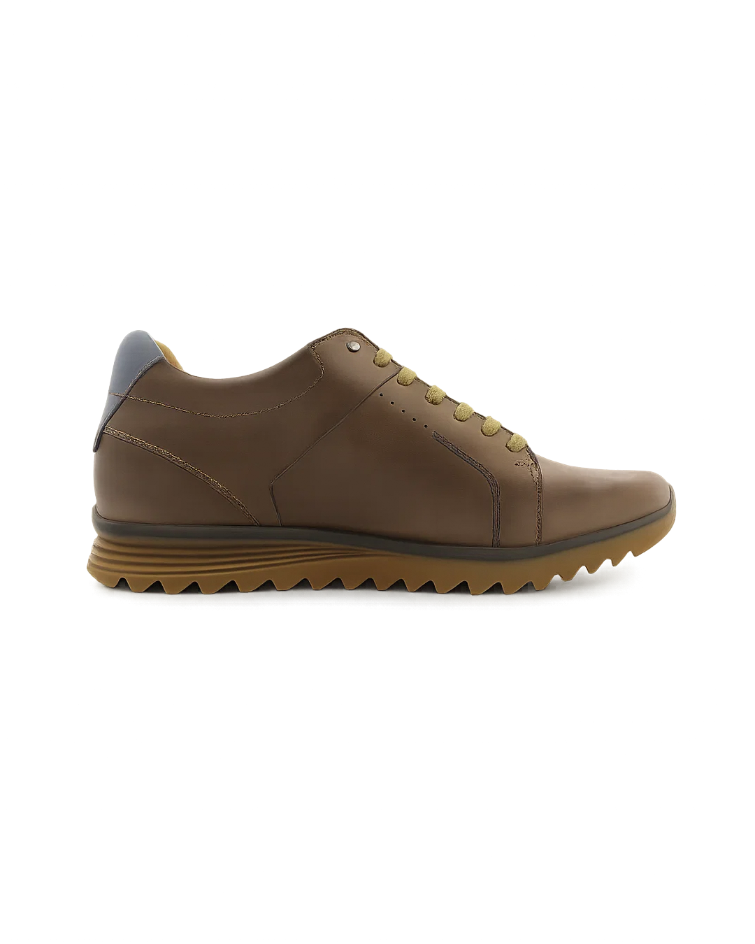 Ard Elevator Shoe