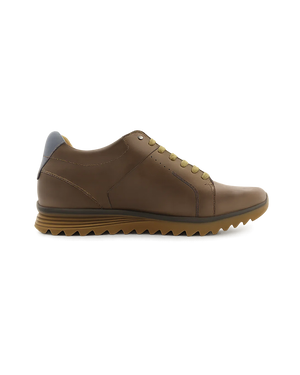 Ard Elevator Shoe
