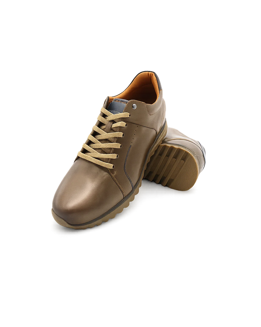 Ard Elevator Shoe